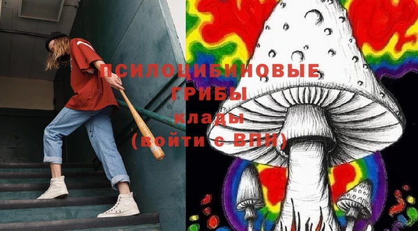 apvp Аркадак